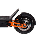 INOKIM OX rental (24 hour)