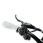 Inokim OXO Ultra-Range Dual-Motor Electric Kick Scooter (2026)