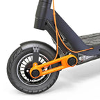 INOKIM OX rental (24 hour)