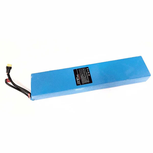 Lithium-Ion Battery