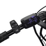 Load image into Gallery viewer, LCD Display for Emove Roadrunner
