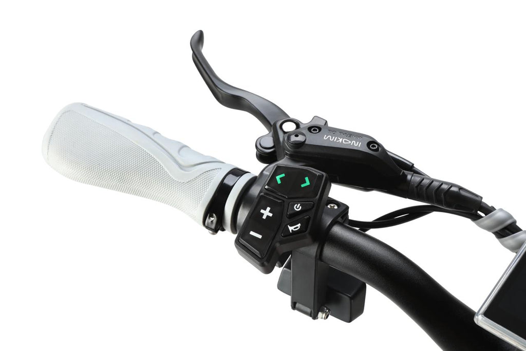 Inokim OXO Ultra-Range Dual-Motor Electric Scooter (2026)