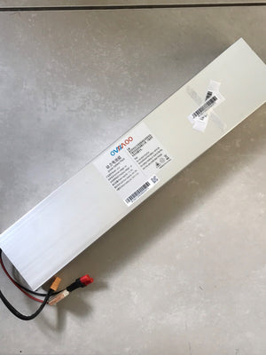 LG Lithium Battery for LIGHT-2 36V-10.4Ah 20 miles range
